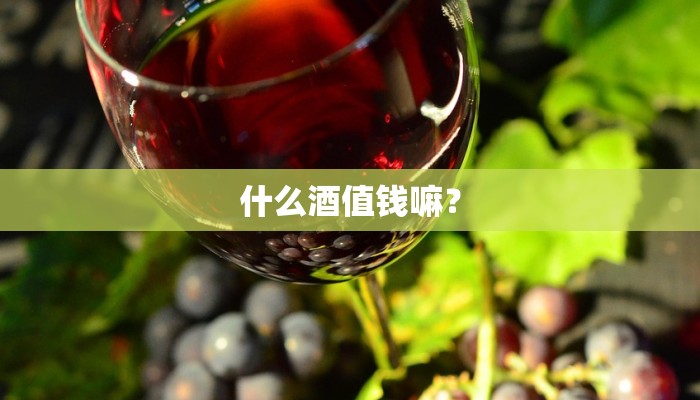什么酒值钱嘛？