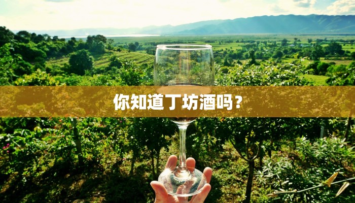 你知道丁坊酒吗？