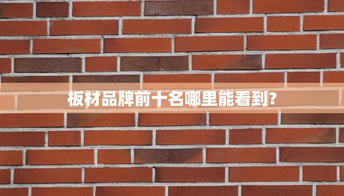 板材品牌前十名哪里能看到？
