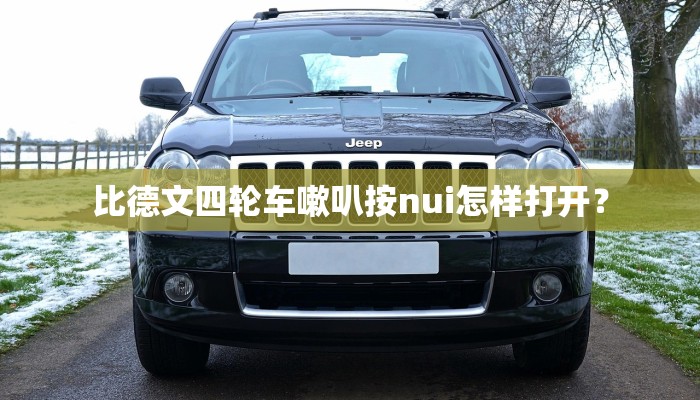 比德文四轮车嗽叭按nui怎样打开？