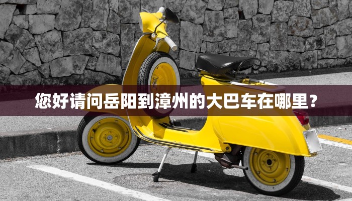 您好请问岳阳到漳州的大巴车在哪里？