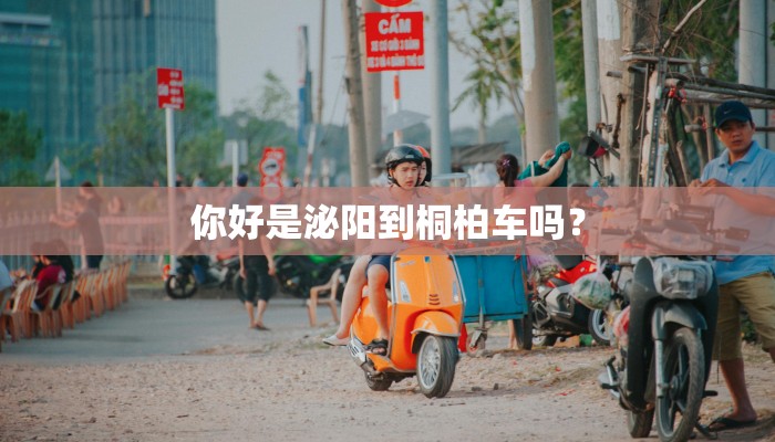 你好是泌阳到桐柏车吗？