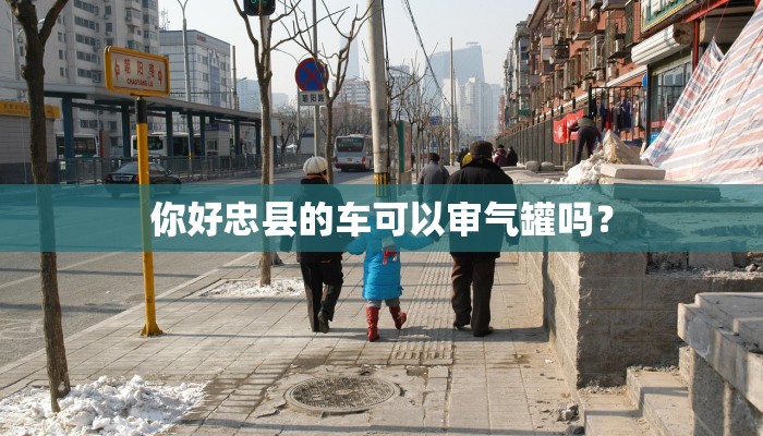 你好忠县的车可以审气罐吗？