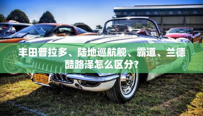我来告诉你“聚友合集真的确实有挂”(原来确实是有挂)