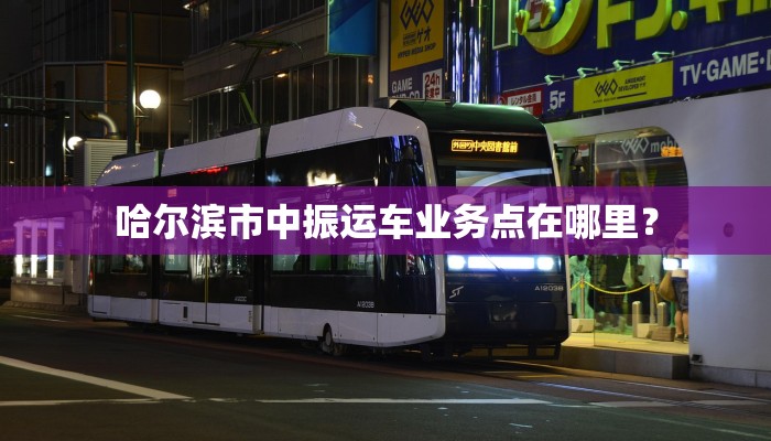 哈尔滨市中振运车业务点在哪里？