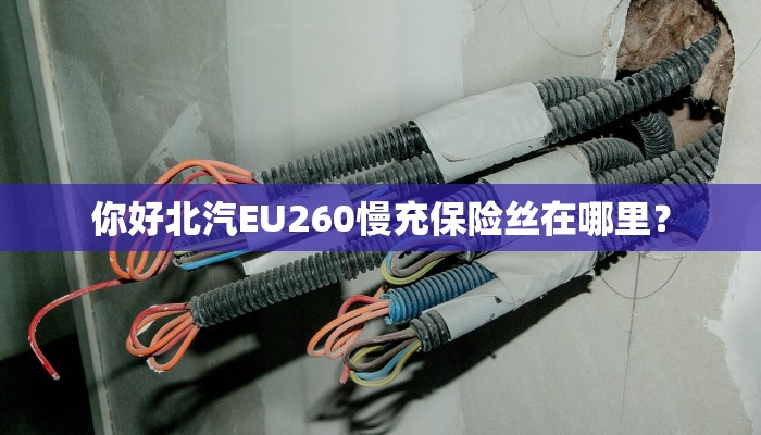 你好北汽EU260慢充保险丝在哪里？
