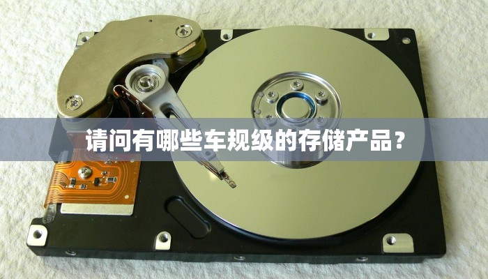 请问有哪些车规级的存储产品？