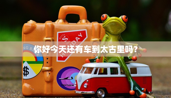 你好今天还有车到太古里吗？