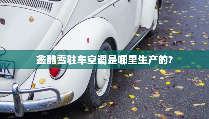 鑫酷雪驻车空调是哪里生产的?