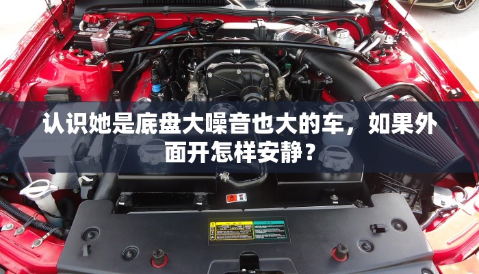认识她是底盘大噪音也大的车，如果外面开怎样安静？