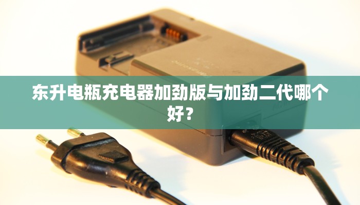 东升电瓶充电器加劲版与加劲二代哪个好？