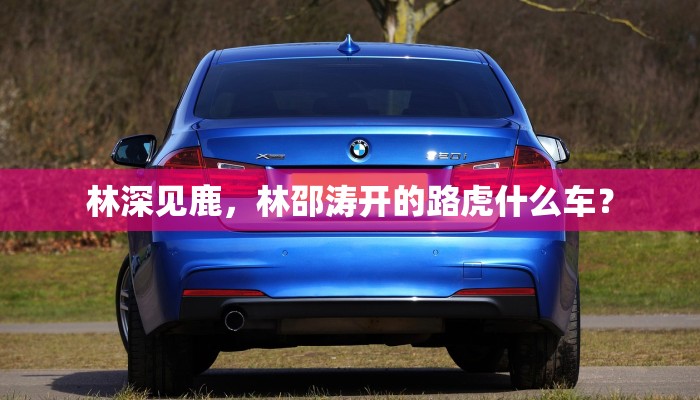 林深见鹿，林邵涛开的路虎什么车？