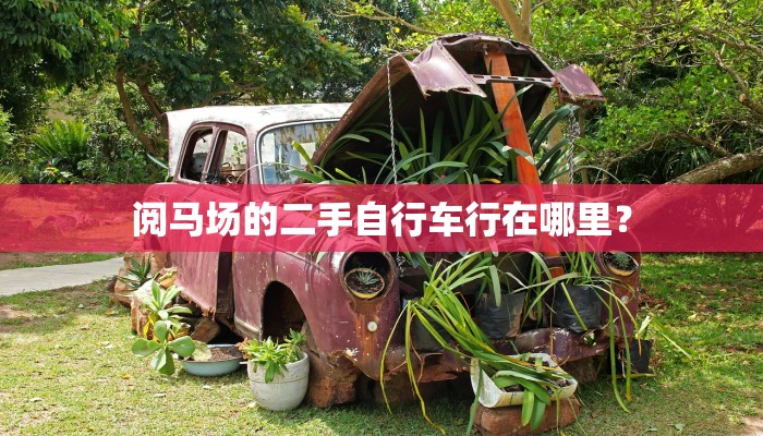 阅马场的二手自行车行在哪里？