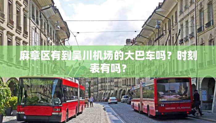 麻章区有到吴川机场的大巴车吗？时刻表有吗？