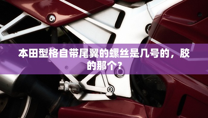 实测教程”九哥大厅辅助挂”开挂详细教程