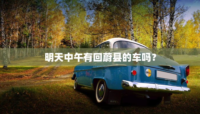 明天中午有回蔚县的车吗？