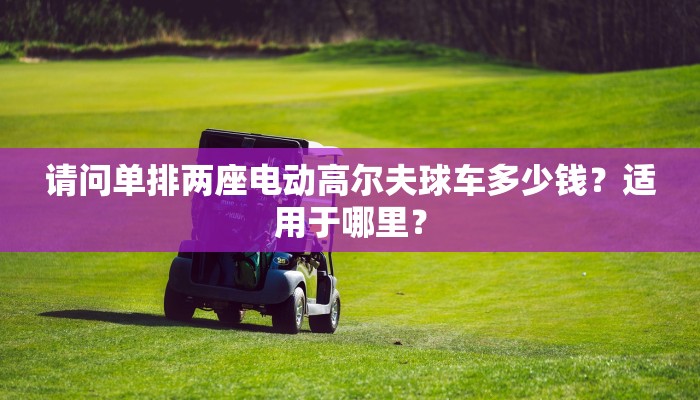 请问单排两座电动高尔夫球车多少钱？适用于哪里？