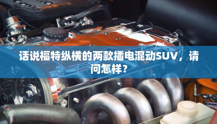 玩家攻略“越乡游双扣辅助开挂软件”原来确实有挂! 