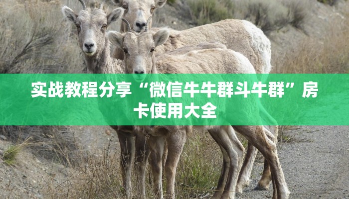 玩家攻略“哈灵浙江麻将是怎么开挂的”原来确实有挂! 