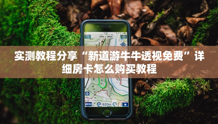 分享教程”微竞吉林麻将开挂辅助软件”原来确实有挂! 