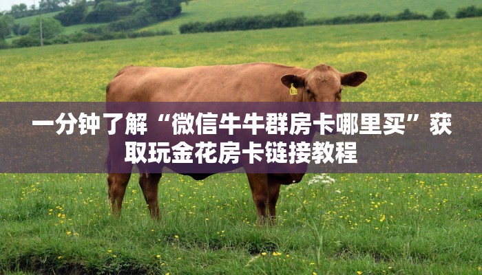 玩家攻略“相约麻将开挂软件方法”原来确实有挂! 
