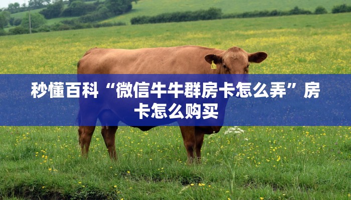 分享教程”三宝芜湖麻将辅助开挂工具”原来确实有挂! 