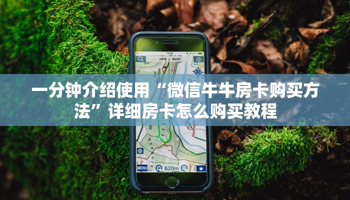 玩家攻略“灵飞承德麻将辅助开挂工具”原来确实有挂! 玩家攻略“灵飞承德麻将辅助开挂工具”原来确实有挂!