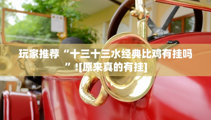玩家推荐“十三十三水经典比鸡有挂吗”![原来真的有挂]