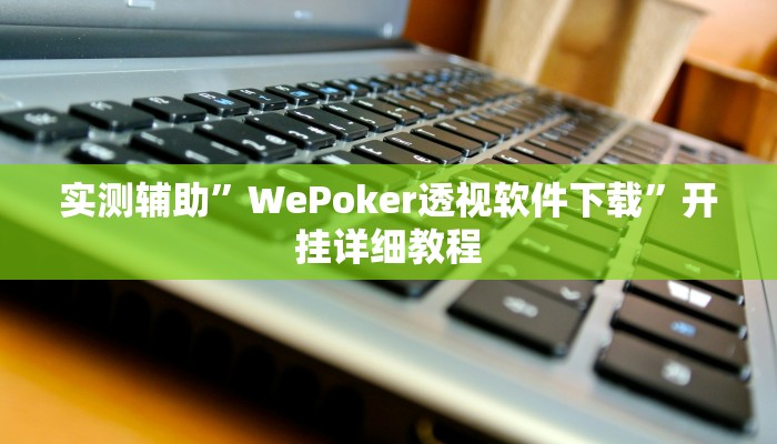 实测辅助”WePoker透视软件下载”开挂详细教程