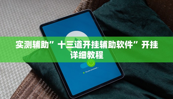 实测辅助”十三道开挂辅助软件”开挂详细教程