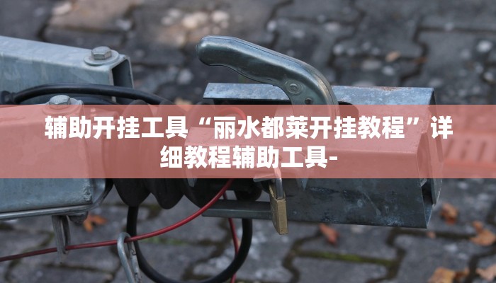辅助开挂工具“丽水都莱开挂教程”详细教程辅助工具-
