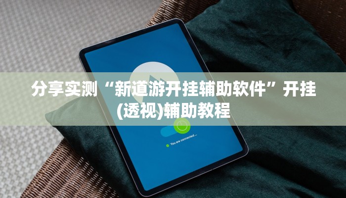 分享实测“新道游开挂辅助软件”开挂(透视)辅助教程