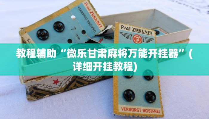 教程辅助“微乐甘肃麻将万能开挂器”(详细开挂教程)