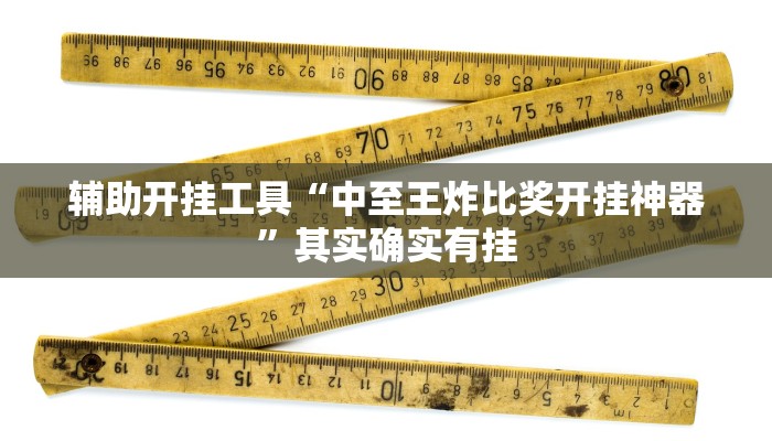 辅助开挂工具“中至王炸比奖开挂神器”其实确实有挂