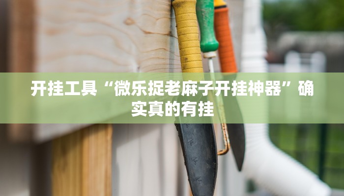 分享教程”天涯海雀是怎么开挂的”附开挂脚本详细步骤