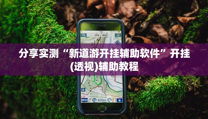 玩家攻略“大唐麻将开挂软件教程”原来确实有挂! 