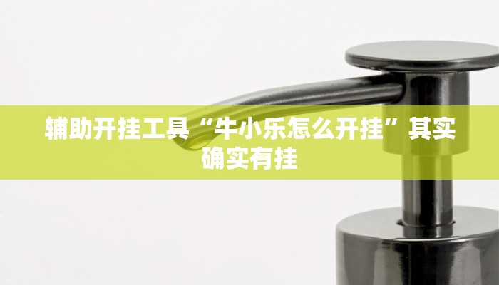 分享教程”双辽麻将是怎么开挂的”附开挂脚本详细步骤