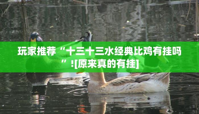 玩家攻略“博乐呼伦贝尔麻将辅助器开挂软件了”附开挂脚本详细步骤