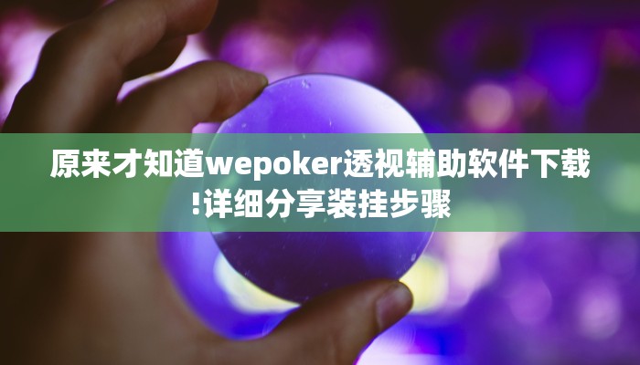 实测教程”hhpoker辅助作弊”开挂详细教程