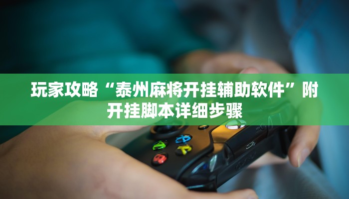 玩家攻略“泰州麻将开挂辅助软件”附开挂脚本详细步骤