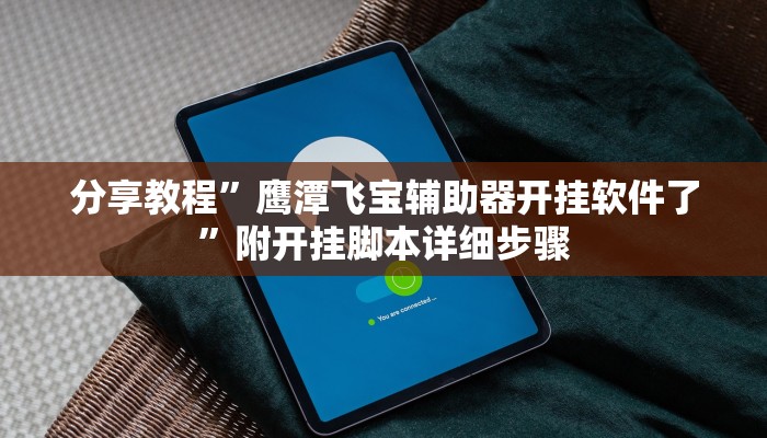 分享教程”鹰潭飞宝辅助器开挂软件了”附开挂脚本详细步骤