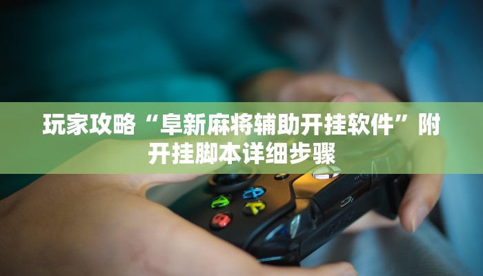 玩家攻略“阜新麻将辅助开挂软件”附开挂脚本详细步骤
