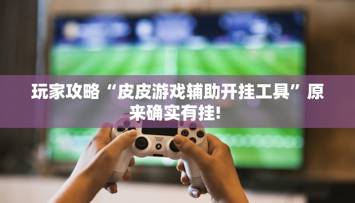 玩家攻略“皮皮游戏辅助开挂工具”原来确实有挂! 