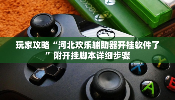 玩家攻略“河北欢乐辅助器开挂软件了”附开挂脚本详细步骤