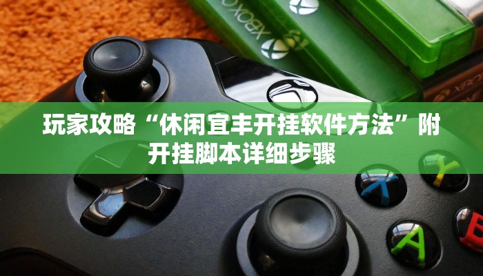 玩家攻略“休闲宜丰开挂软件方法”附开挂脚本详细步骤