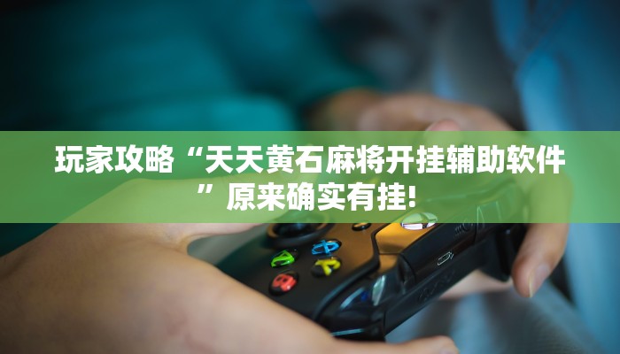 玩家攻略“天天黄石麻将开挂辅助软件”原来确实有挂! 