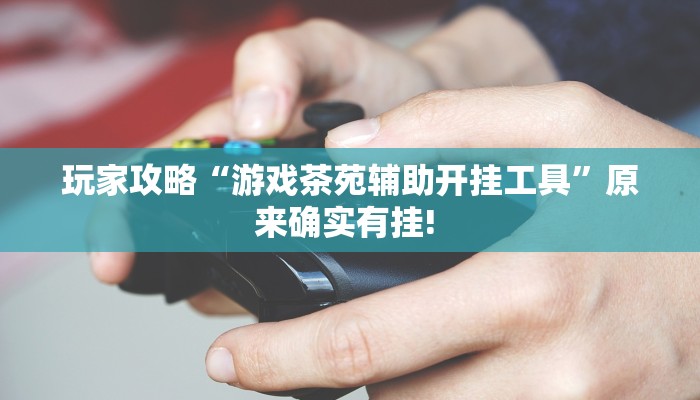 玩家攻略“游戏茶苑辅助开挂工具”原来确实有挂! 玩家攻略“游戏茶苑辅助开挂工具”原来确实有挂!