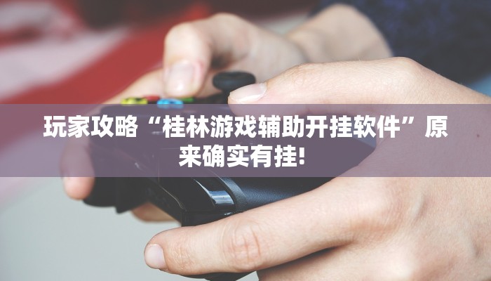 玩家攻略“桂林游戏辅助开挂软件”原来确实有挂! 