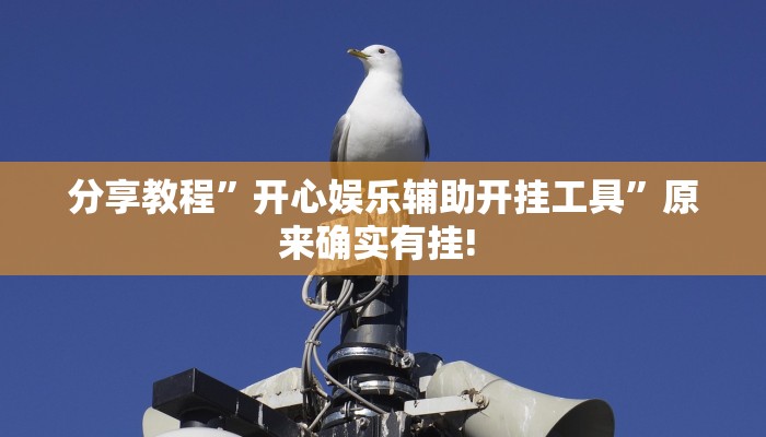 分享教程”开心娱乐辅助开挂工具”原来确实有挂! 