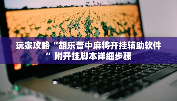 玩家攻略“胡乐晋中麻将开挂辅助软件”附开挂脚本详细步骤